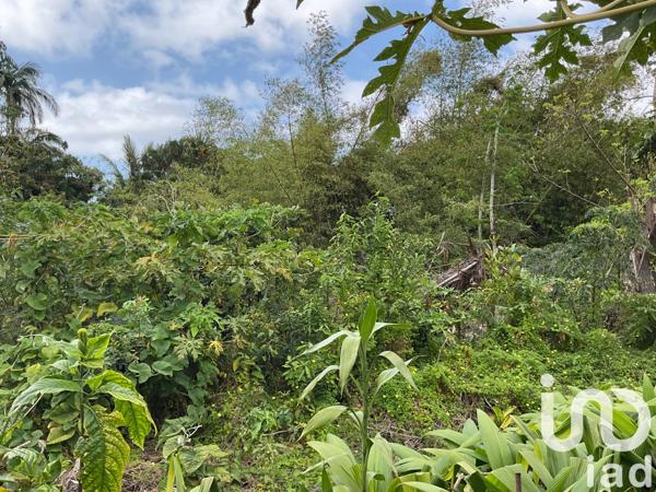 Terrain à vendre 462 m² Saint-Joseph