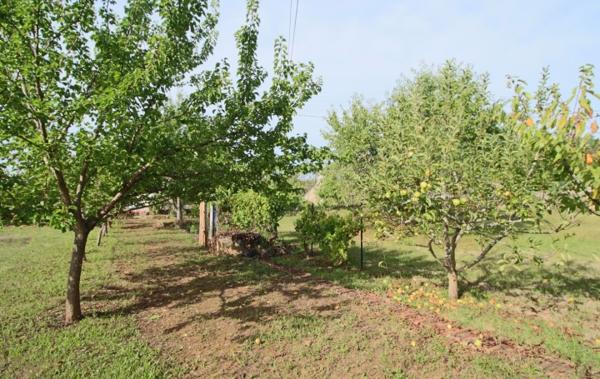 Vente Maison Puy-l'eveque   