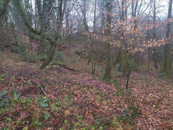 Terrain à vendre |  Corrèze |  3349 m²