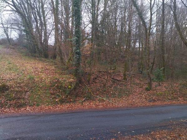 Terrain à vendre |  Corrèze |  3349 m²