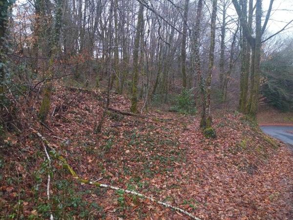 Terrain à vendre |  Corrèze |  3349 m²