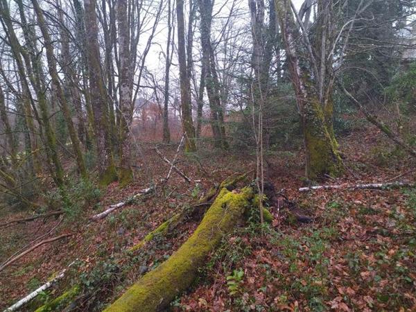 Terrain à vendre 20 000 € Corrèze 3349 m² DPE