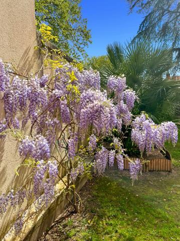Dept de la vienne, Maison de ville à vendre 8 pièces CHATELLERAULT (86)