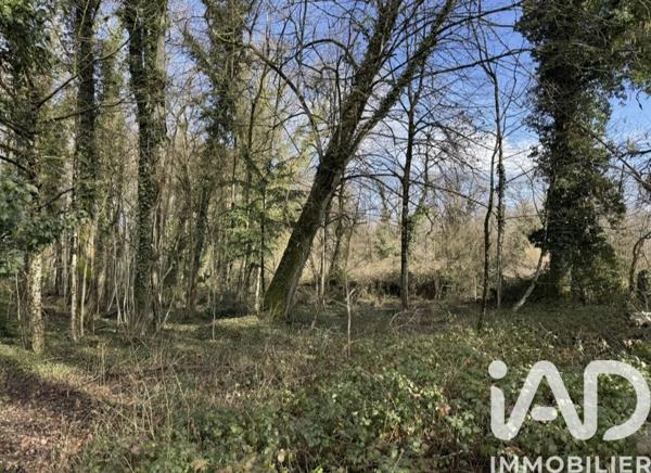 Terrain à vendre 5 430 m² Saint-Phal