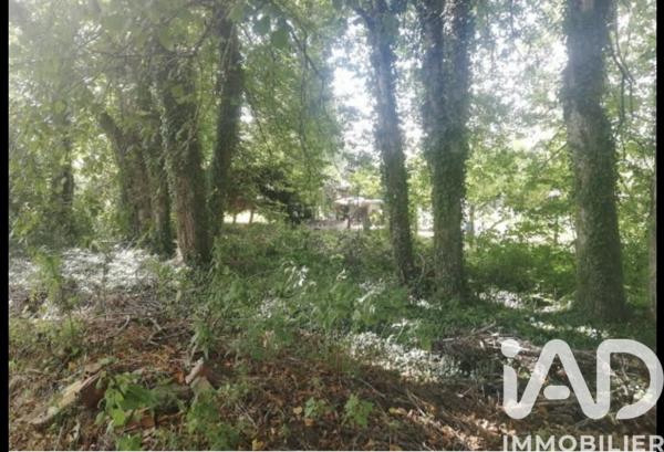 Terrain à vendre 5 430 m² Saint-Phal