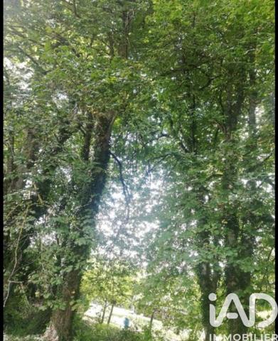 Terrain à vendre 5 430 m² Saint-Phal