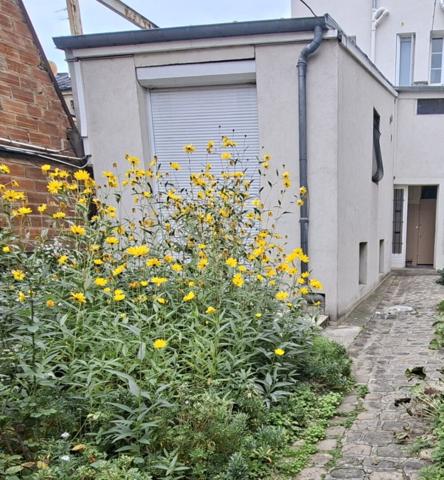Maison Montreuil 2 pièce(s) 33 m2