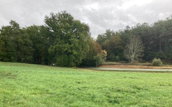 Terrain à vendre |  Saint-Barthélemy-de-Bellegarde |  1899 m²