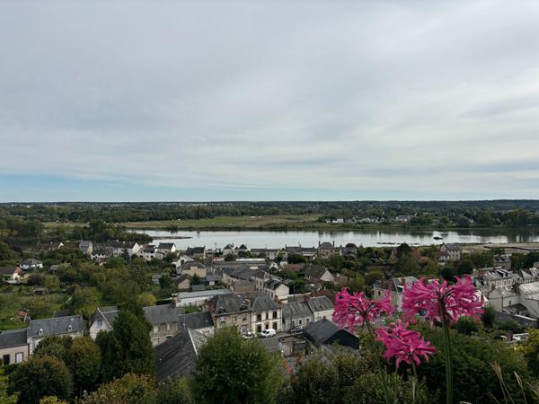 Appartement quartier Basilique