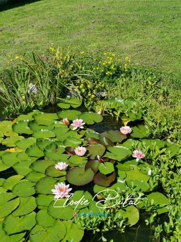 Maison à vendre 5 pièces ALBERTVILLE (73)