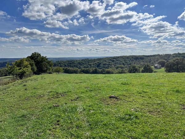 Maison de maître Excideuil 5 pièce(s) 150 m2 et ses 36ha de terres