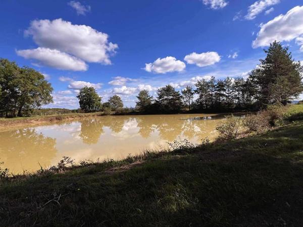 Maison de maître Excideuil 5 pièce(s) 150 m2 et ses 36ha de terres
