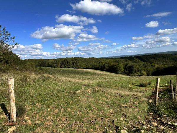 Maison de maître Excideuil 5 pièce(s) 150 m2 et ses 36ha de terres