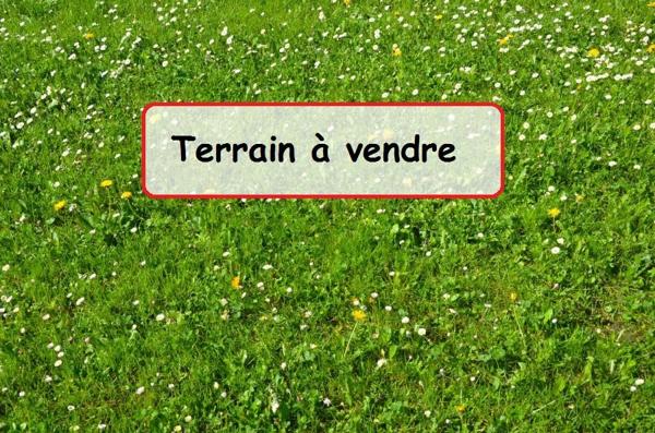 Vente / Terrain constructible