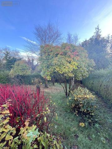 Maison à vendre à Wimille dans le Pas-de-Calais (62126), ref : 836