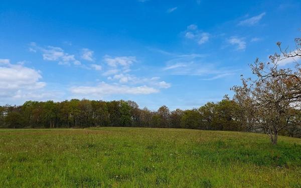 Terrain à vendre    Castaignos-Souslens