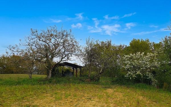 Terrain à vendre    Castaignos-Souslens