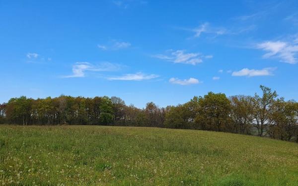 Terrain à vendre    Castaignos-Souslens