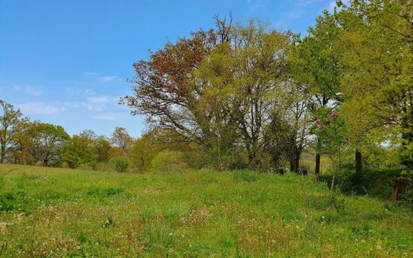 Terrain à vendre    Castaignos-Souslens