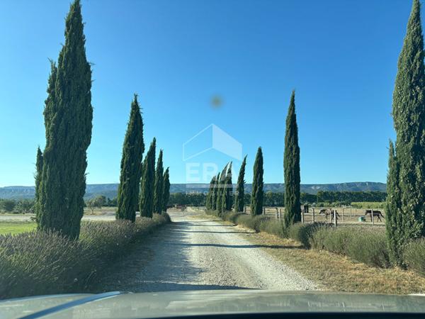 À vendre ? Domaine équestre clé-en-main en Provence