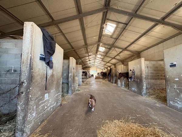 À vendre ? Domaine équestre clé-en-main en Provence
