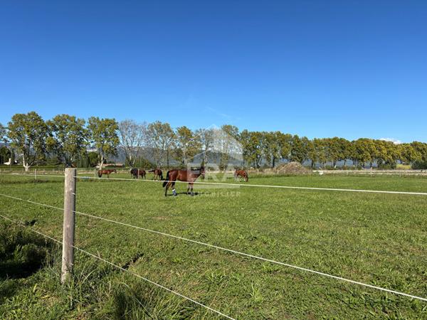 À vendre ? Domaine équestre clé-en-main en Provence