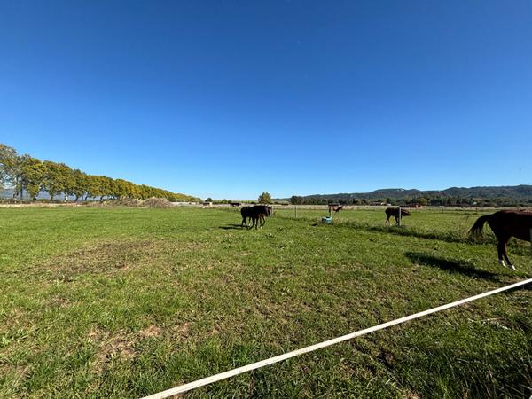 À vendre ? Domaine équestre clé-en-main en Provence