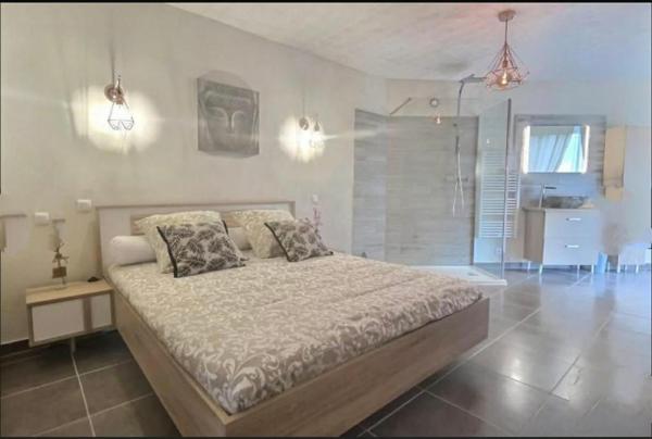 Bastide en pierre: Le Cannet Des Maures 7 pièce(s) 190 m2, terrain, piscine, Pool House,F2 indépendant