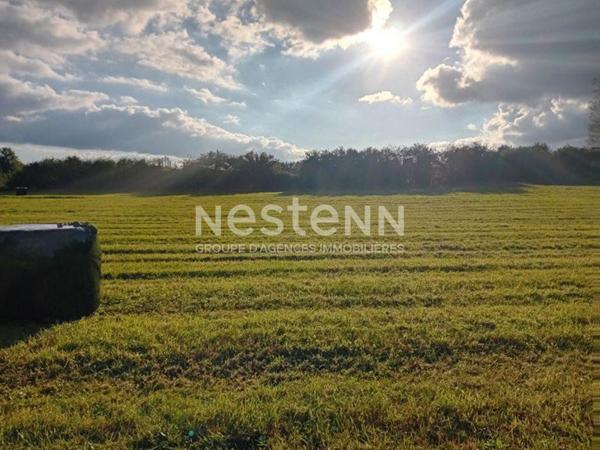 Terrain Rouvray Catillon 859 m2