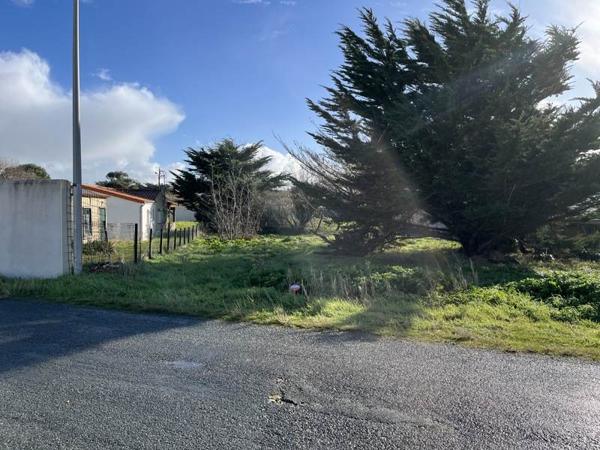 Terrain à vendre |  Saint-Denis-d'Oléron |  681 m²