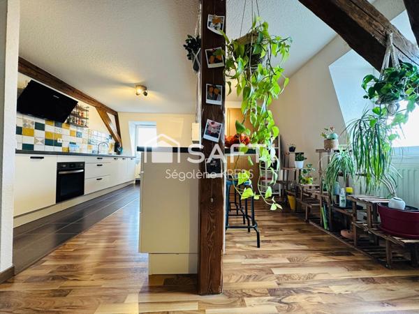 Coup de cœur, superbe duplex 4 pièces à HILSENHEIM