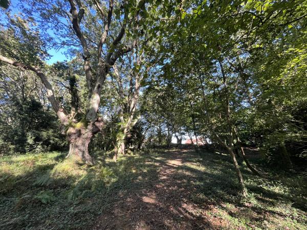 Vidouze (65700) MAISON 8 PIÈCES 220 M2 et sa GRANGE