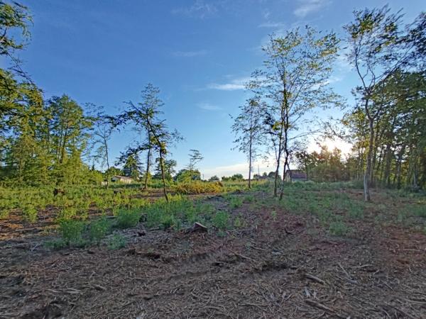 Terrain à vendre à Sarlat-la-Canéda (24200) - Dordogne