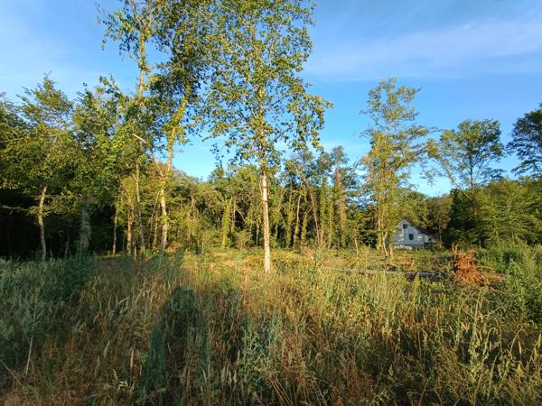 Terrain à vendre à Sarlat-la-Canéda (24200) - Dordogne