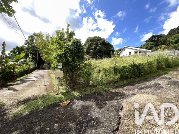 Terrain à vendre 600 m² Ducos