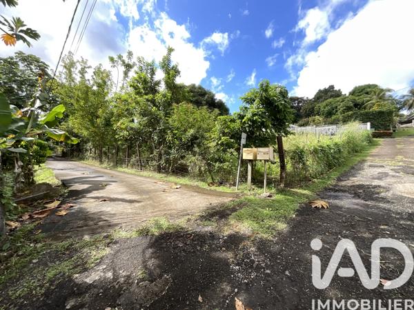 Terrain à vendre 600 m² Ducos