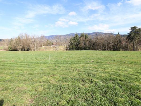 Maison Ambert 6 pièces +/-250 m2 + 3ha de terrain environ