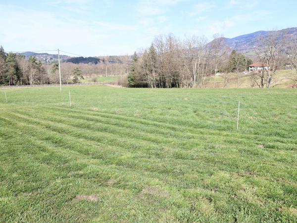 Maison Ambert 6 pièces +/-250 m2 + 3ha de terrain environ