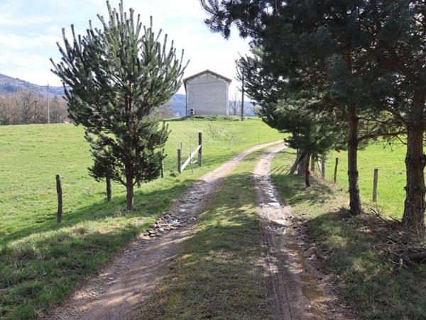 Maison Ambert 6 pièces +/-250 m2 + 3ha de terrain environ