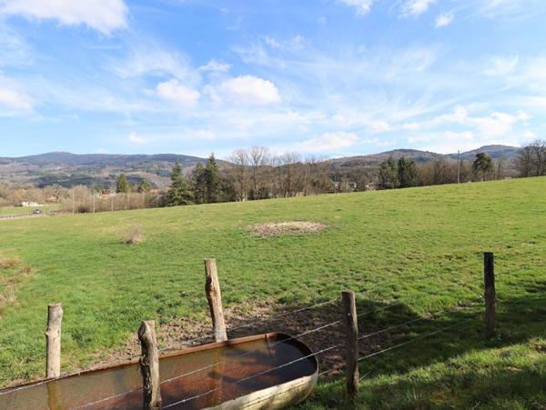 Maison Ambert 6 pièces +/-250 m2 + 3ha de terrain environ