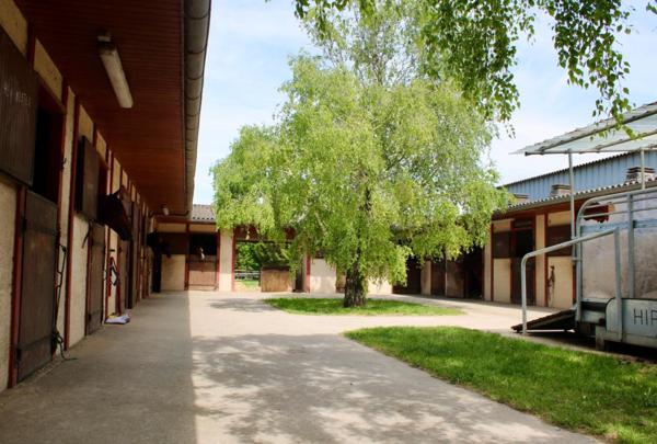 Maison 150 m², écurie pour chevaux, bâtiments agricoles