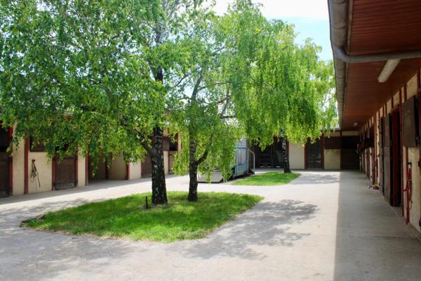 Maison 150 m², écurie pour chevaux, bâtiments agricoles