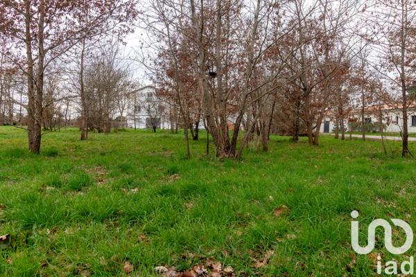 Terrain à vendre 2 006 m² Montauban