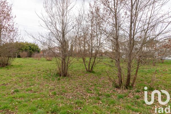 Terrain à vendre 2 006 m² Montauban