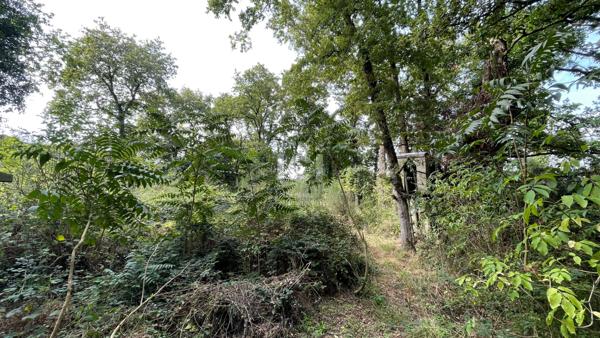 Terrain Saint-brevin-les-pins 354 m2