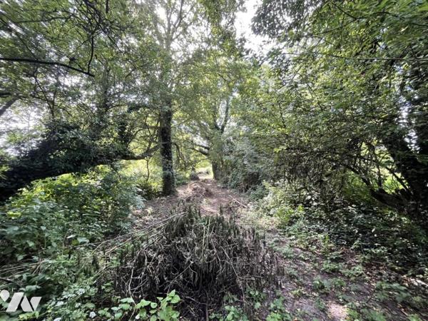 Terrain viabilisable