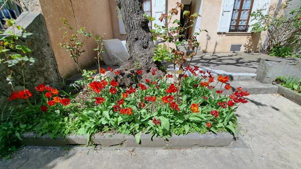 A vendre, sur Digne les bains Maison bourgeoise du XIX siècle de 238m²