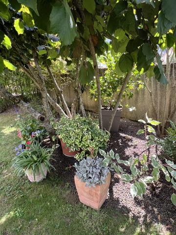 Tarascon-sur-Ariège (09400) EXCLUSIVITE - O TRAVAUX ! Tarascon sur Ariege - Maison 4 faces de 135 m2 - Plain pied - 3/4 chambres sur terr