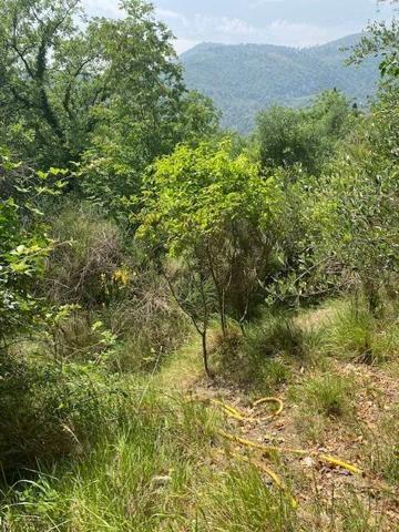 Vente Terrain 4225 m2 à Tourrette-Levens