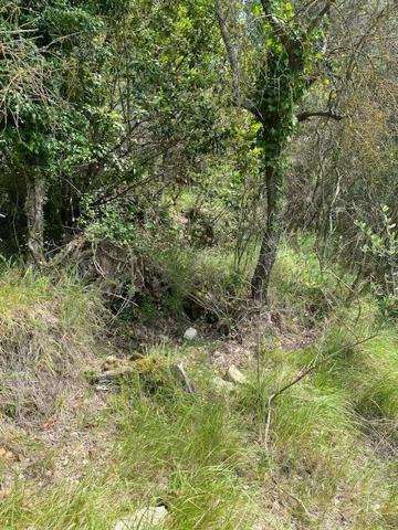 Vente Terrain 4225 m2 à Tourrette-Levens